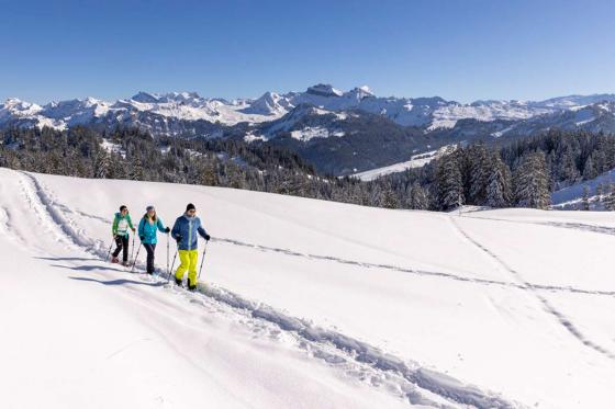 Schneeschuhtour im Mythengebiet - inkl. Fondue und kurze Schlittelabfahrt 6 