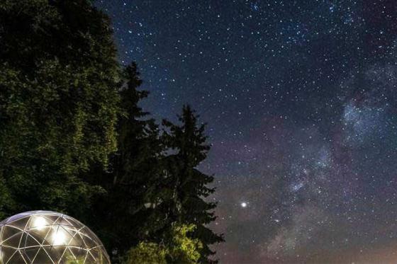 Bubble-Suite Übernachtung - unter dem Sternenhimmel mit Trottiabfahrt für 2 | in Filzbach 2 