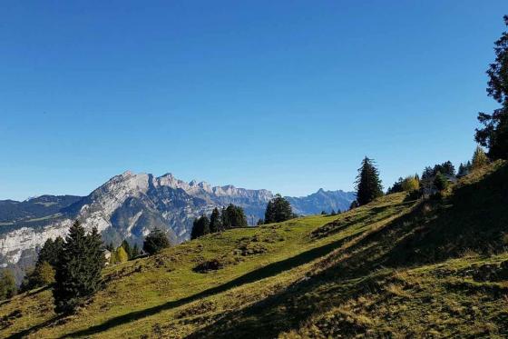 Bubble-Suite Übernachtung - unter dem Sternenhimmel mit Trottiabfahrt für 2 | in Filzbach 8 