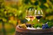 Übernachtung & Weindegustation - 1 Nacht in Yverdon und 8 Weine in Bonvillars zu entdecken 7