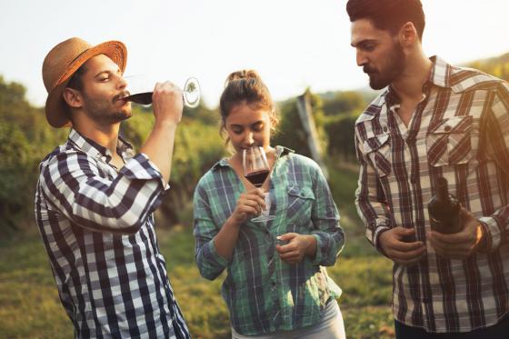 Séjour & dégustation de vin - 1 nuit à Yverdon et vins à découvrir  