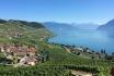 Balade instructive à Lavaux - Excursion viticole unique pour 1 personne 8