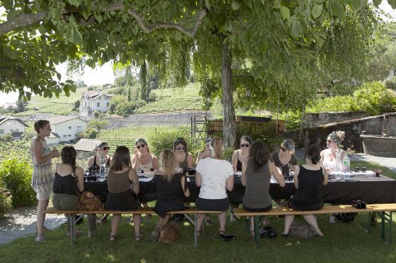 Balade instructive à Lavaux - Excursion viticole unique pour 1 personne 1  Balade instructive à Lavaux - Excursion viticole unique pour 1 personne 1