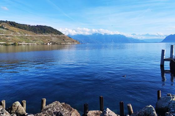 Balade instructive à Lavaux - Excursion viticole unique pour 1 personne 3  Balade instructive à Lavaux - Excursion viticole unique pour 1 personne 3