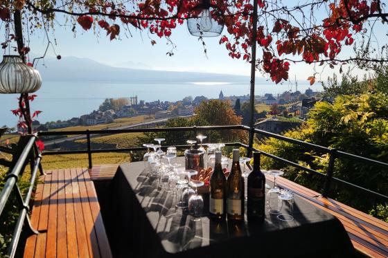 Balade instructive à Lavaux - Excursion viticole unique pour 1 personne 5  Balade instructive à Lavaux - Excursion viticole unique pour 1 personne 5