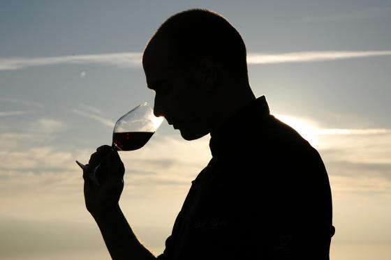Initiation à la dégustation de vin - Découverte du monde oenologique pour 1 personne   Initiation à la dégustation de vin - Découverte du monde oenologique pour 1 personne