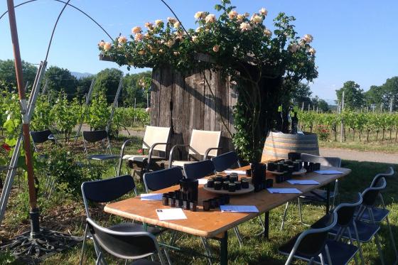 Lehrreicher Spaziergang in Lavaux - Geniessen Sie einen einzigartigen Weinausflug für 2 Personen 7 