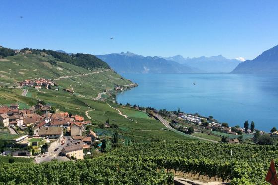 Lehrreicher Spaziergang in Lavaux - Geniessen Sie einen einzigartigen Weinausflug für 2 Personen 8 