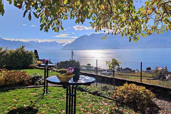 Lehrreicher Spaziergang in Lavaux - Geniessen Sie einen einzigartigen Weinausflug für 2 Personen 9 