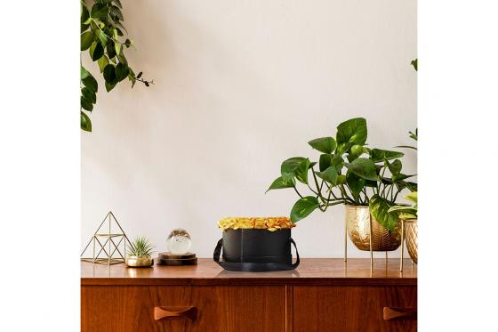 Rosenbox Gold - mit 18 Rosen 3 