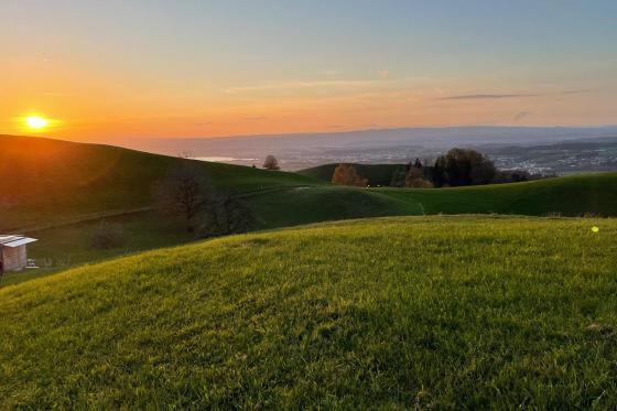 Nuit en Tiny House - 1 nuit en Tiny House 