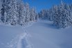 Schneeschuhtour - für 4 Personen 6