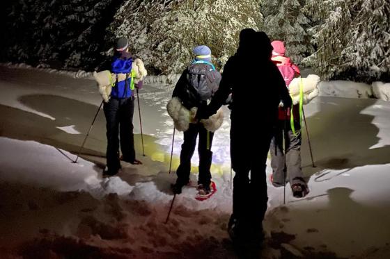 Schneeschuhwandern & Raclette  - In der Nacht für 2 Personen 1 
