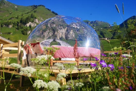 Glas-Iglu mit Hot Tub - für 2 Personen 4 