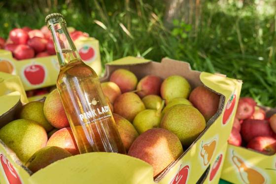 Abo vin & produits du terroir - 3 livraisons de vins et produits du terroir valaisan 5 