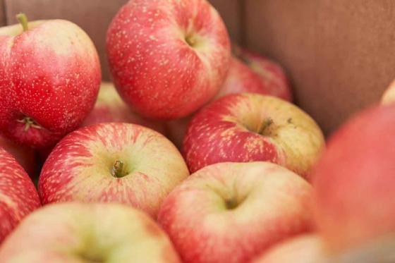 Abo vin & produits du terroir - 3 livraisons de vins et produits du terroir valaisan 6 