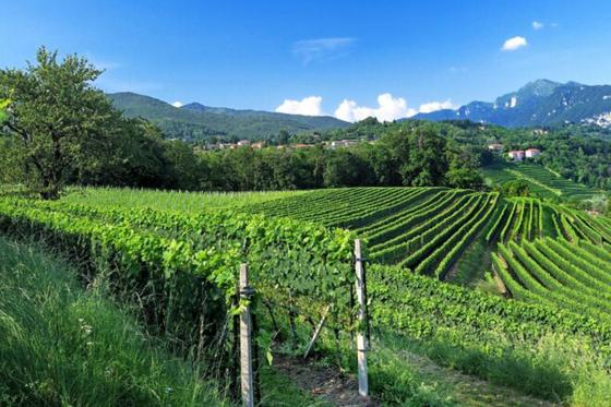 Nuit romantique au Tessin - En chambre de Charme avec menu à 3 plats pour 2 personnes 7 