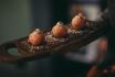 Taste of The Cambrian - Menu à 5 plats selon les envies du chef avec accords mets-vins 