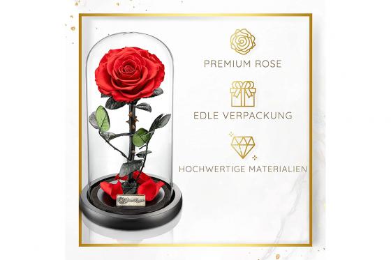 Ewige Rose im Glas - in edler Geschenkbox 1 