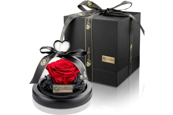 Rose rouge sous dôme - Éternelle en fleur   