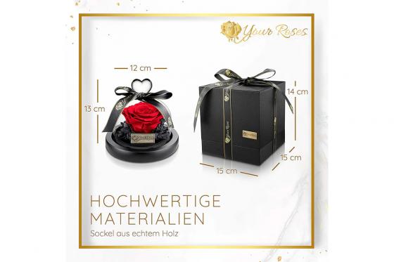 Rose rouge sous dôme - Éternelle en fleur  2 