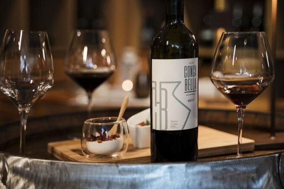 Nuit au Tessin & dégustation de vin - En Junior Suite avec menu à 3 plats pour 2 personnes 5 