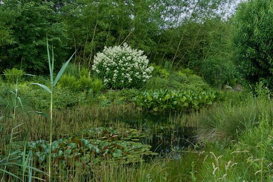 Dormir dans une tente suspendue - Séjour insolite pour 2 personnes 3 