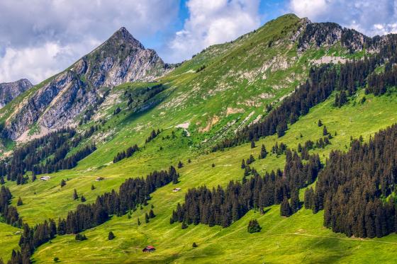 Übernachtung & Fondue im Tipi  - inkl. Frühstück für 2 Personen 2 