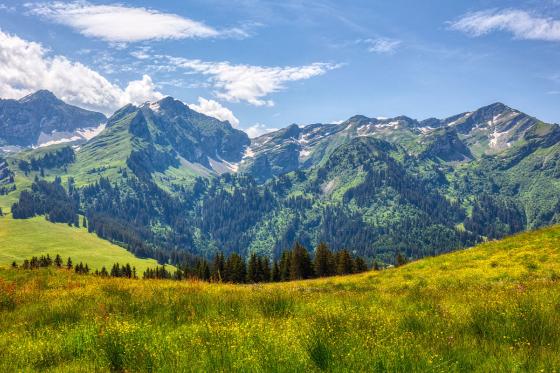Übernachtung & Fondue im Tipi  - inkl. Frühstück für 2 Personen 9 