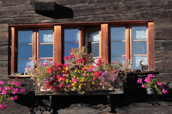 Découverte du Valais authentique - Excursion privée au Val d'Hérens & pique-nique pour 2 personnes 7 