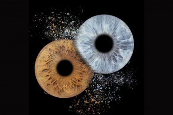 Photographie d'iris à Montreux - Sur bloc plexiglas 10x10cm pour 2 personnes  