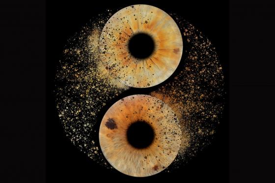 Photographie d'iris à Montreux - Sur bloc plexiglas 10x10cm pour 2 personnes 3 