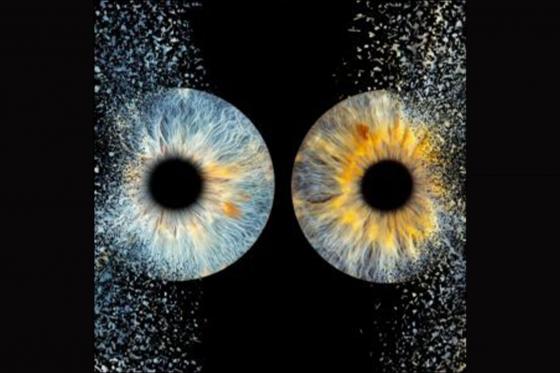 Photographie d'iris à Montreux - Sur bloc plexiglas 10x10cm pour 2 personnes 4 