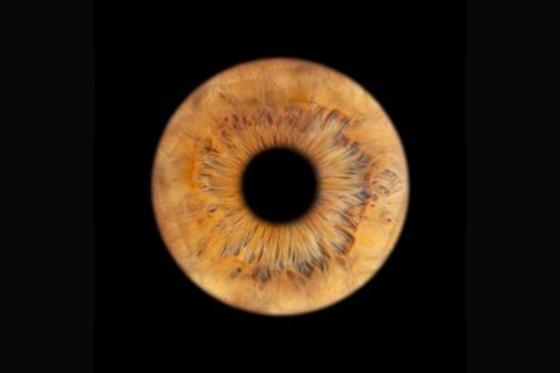 Photographie d'iris à Montreux - Sous format digital pour 1 personne 1 