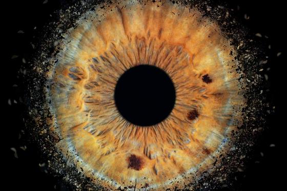 Photographie d'iris - pour 1 personne  