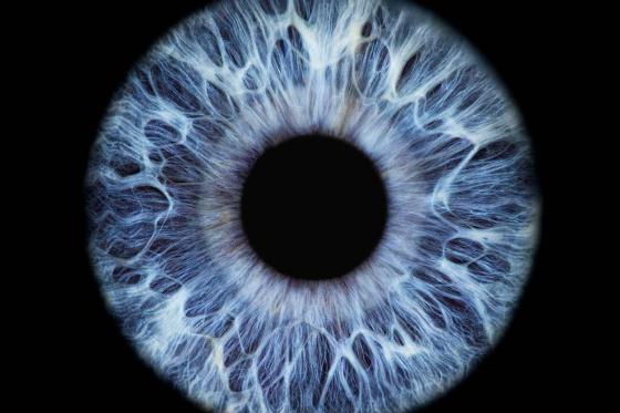 Photographie d'iris - pour 1 personne 1 