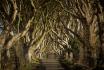 Game of Thrones Drehortreise - 3 Tage, Belfast / Antrim - Irland / Nordirland, 2 Personen 3