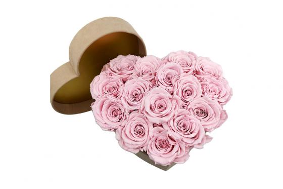 Rosenbox Herz Velvet - Infinity Rosen rosa 2 