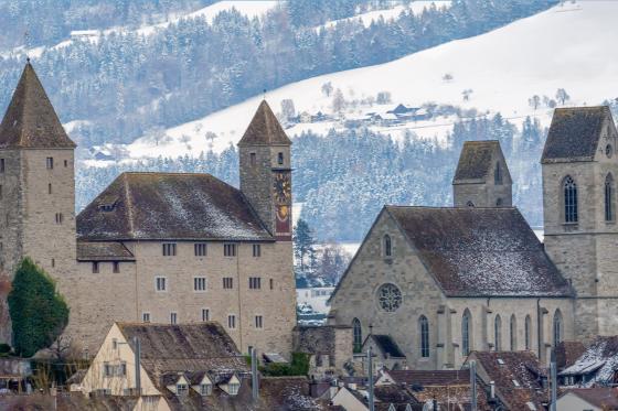 Montgolfière à Rapperswil - 2h de vol pour 2 personnes 5 