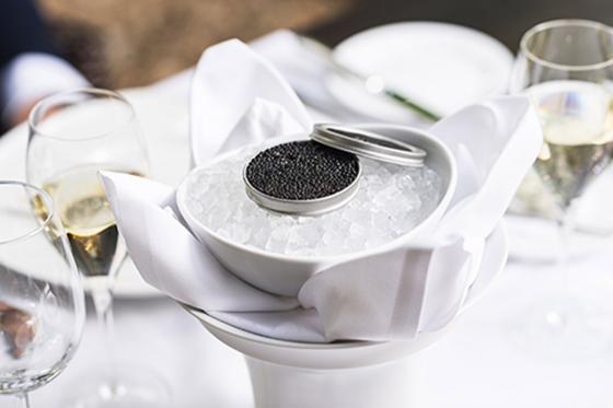 Tête-à-tête romantique dans la jungle - à la Maison tropicale de Frutigen 7 