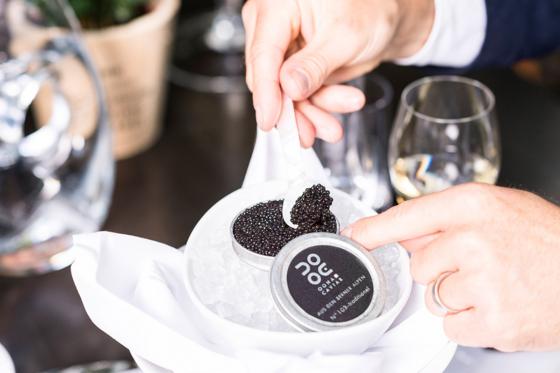 Tête-à-tête romantique dans la jungle - à la Maison tropicale de Frutigen 8 