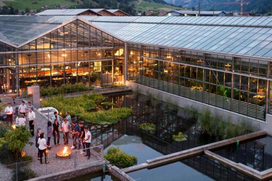 Tête-à-tête romantique dans la jungle - à la Maison tropicale de Frutigen 11 