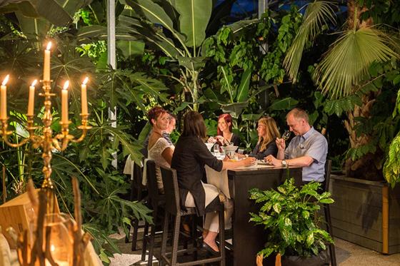 Table d'hôtes sous les tropiques - à la Maison tropicale de Frutigen  