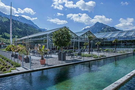 Table d'hôtes sous les tropiques - à la Maison tropicale de Frutigen 15 