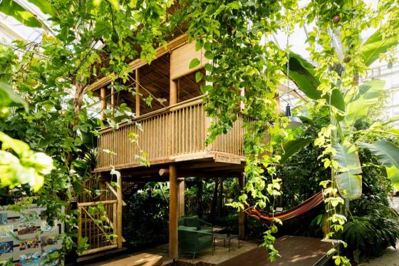 Nuit sous les Tropiques - à la Maison tropicale de Frutigen, avec expo & repas du soir à 4 plats  