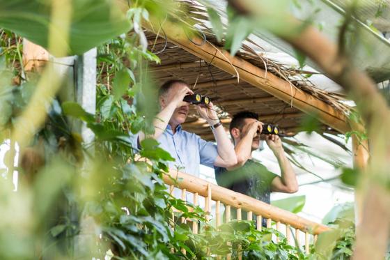 Nuit sous les Tropiques - à la Maison tropicale de Frutigen, avec expo & repas du soir à 4 plats 1 