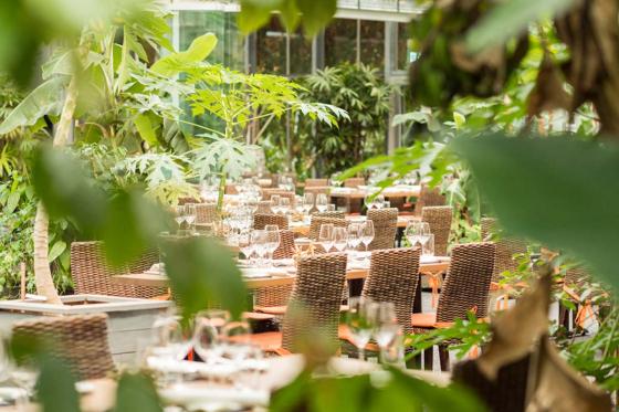 Nuit sous les Tropiques - à la Maison tropicale de Frutigen, avec expo & repas du soir à 4 plats 3 