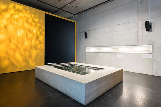 Nuit sous les Tropiques - à la Maison tropicale de Frutigen, avec expo & repas du soir à 4 plats 11 