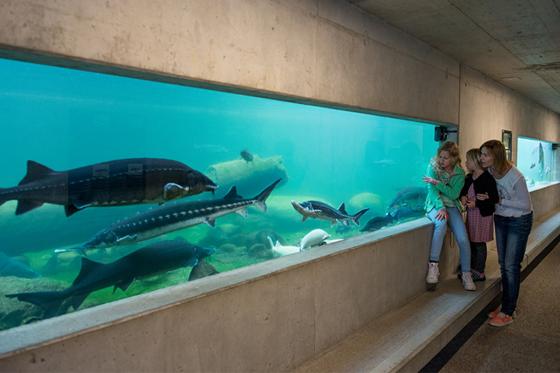 Nuit sous les Tropiques - à la Maison tropicale de Frutigen, avec expo & repas du soir à 4 plats 12 