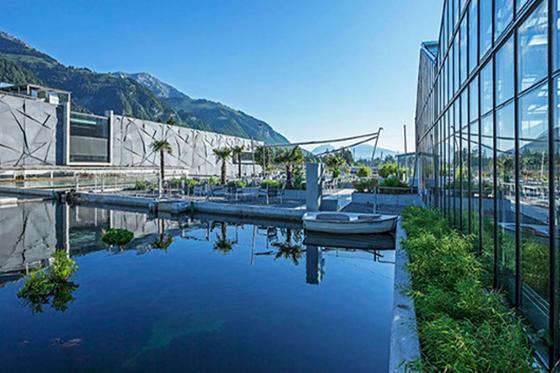 Nuit sous les Tropiques - à la Maison tropicale de Frutigen, avec expo & repas du soir à 4 plats 15 